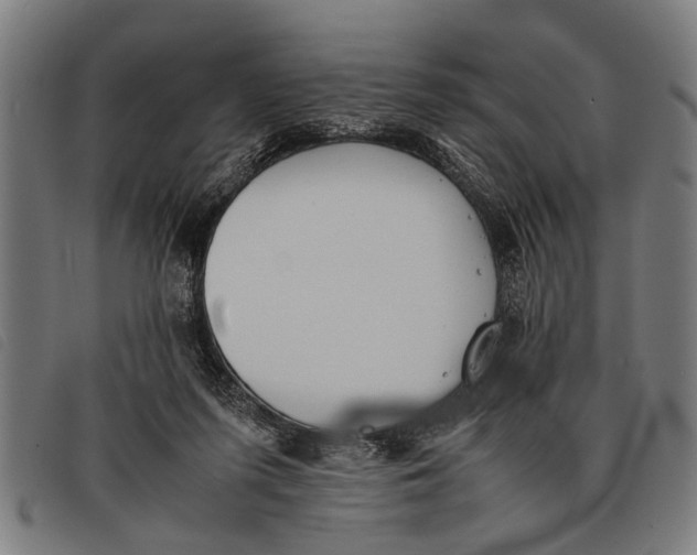 X0000097860215200804041535