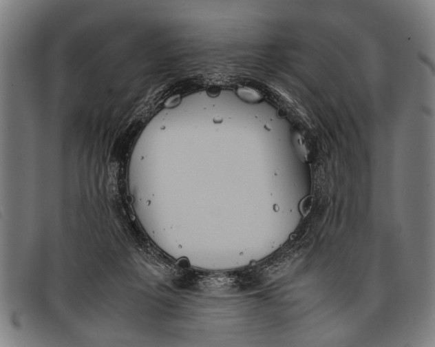 X0000097860217200804041535