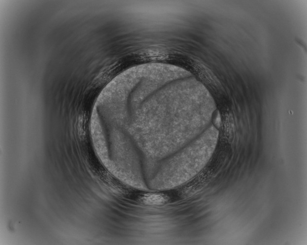 X0000097860218200804041535