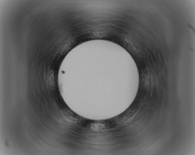 X0000097860220200804041535