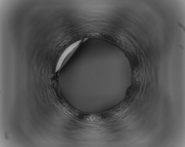 X0000097860223200804041535