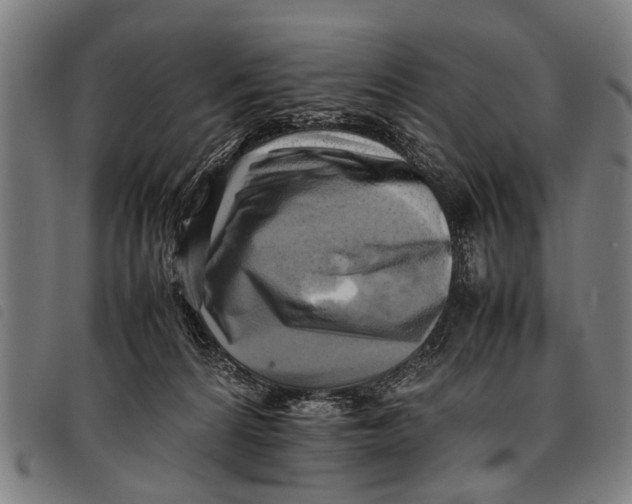 X0000097860224200804041535