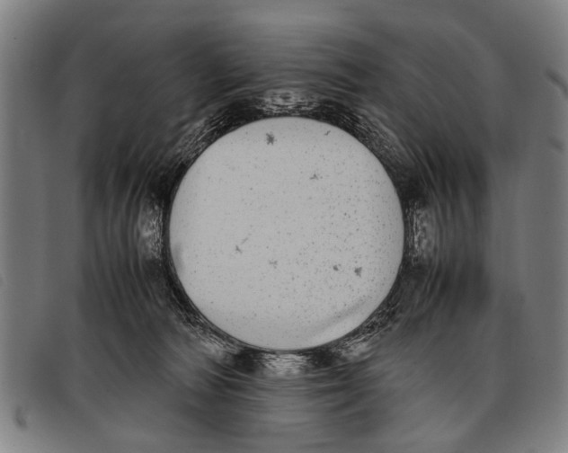 X0000097860226200804041535