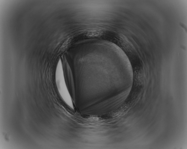 X0000097860227200804041535