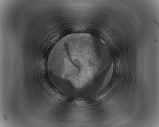 X0000097860228200804041535