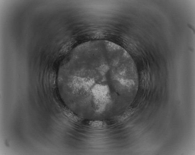 X0000097860230200804041535