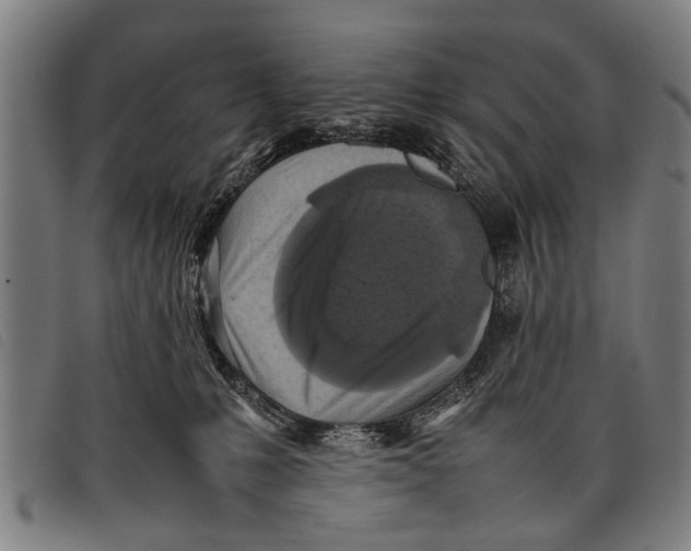 X0000097860231200804041535