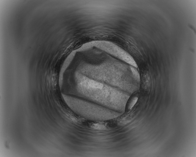 X0000097860232200804041535