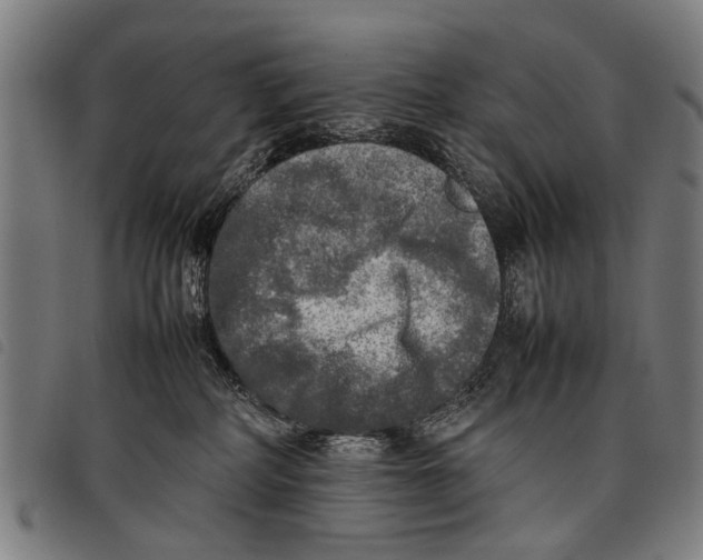 X0000097860234200804041535