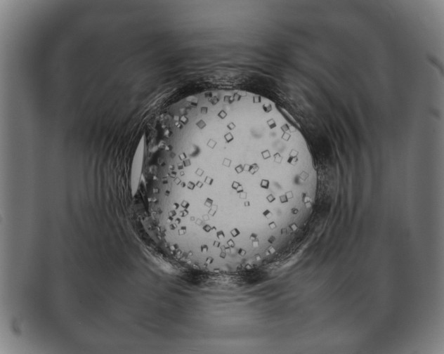 X0000097860237200804041535