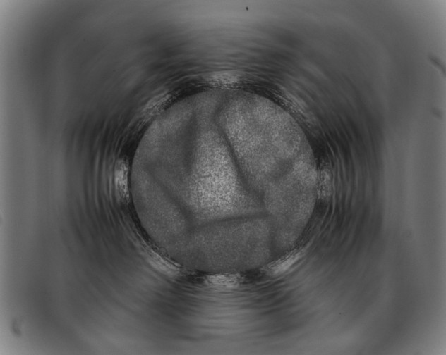 X0000097860238200804041535