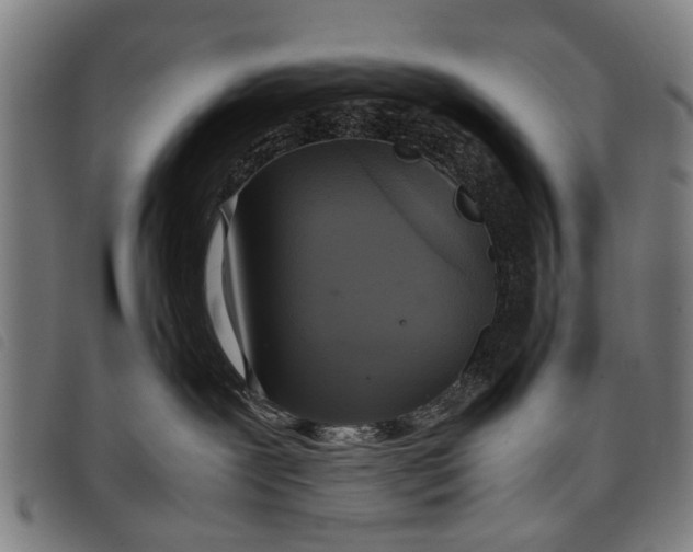 X0000097860239200804041535