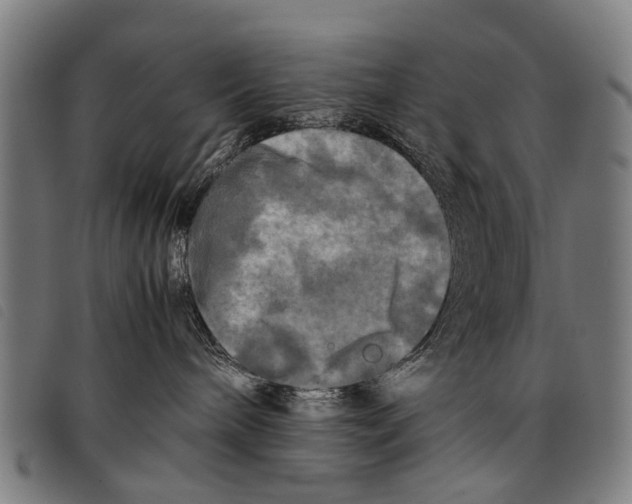 X0000097860240200804041535