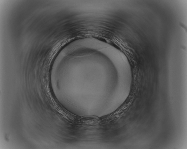 X0000097860241200804041534