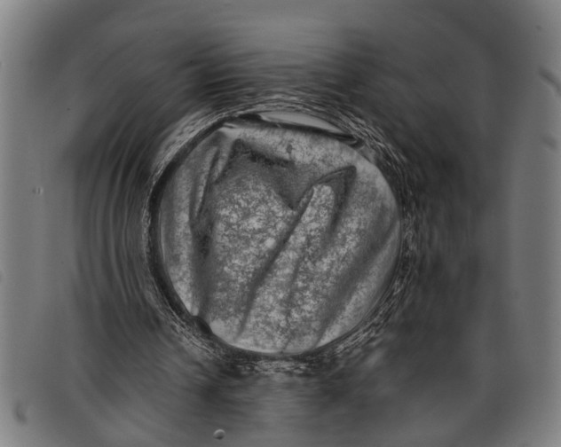 X0000097860242200804041534