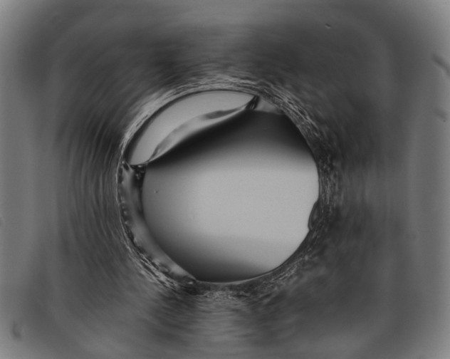 X0000097860244200804041534