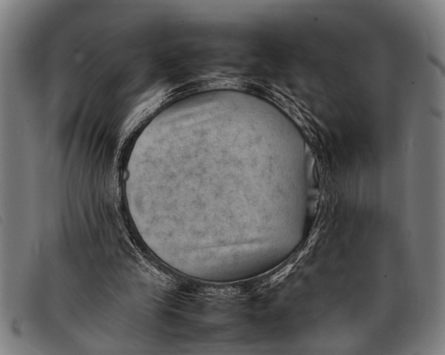 X0000097860245200804041534