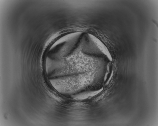 X0000097860246200804041534