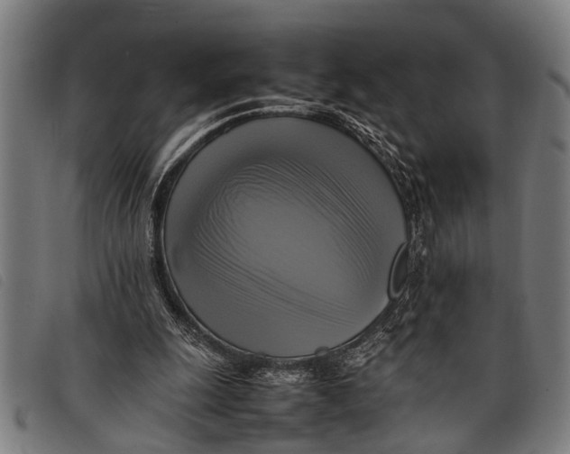 X0000097860247200804041534