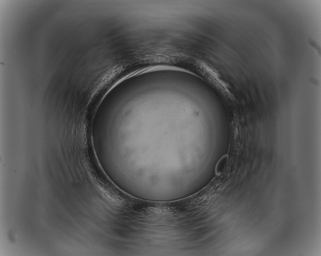 X0000097860250200804041534