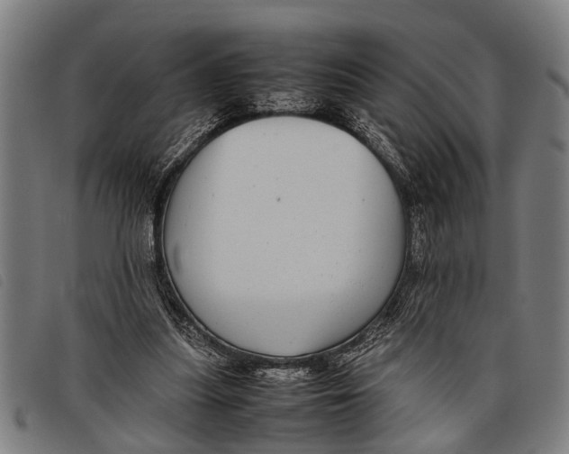 X0000097860251200804041534