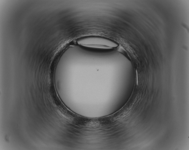 X0000097860252200804041534