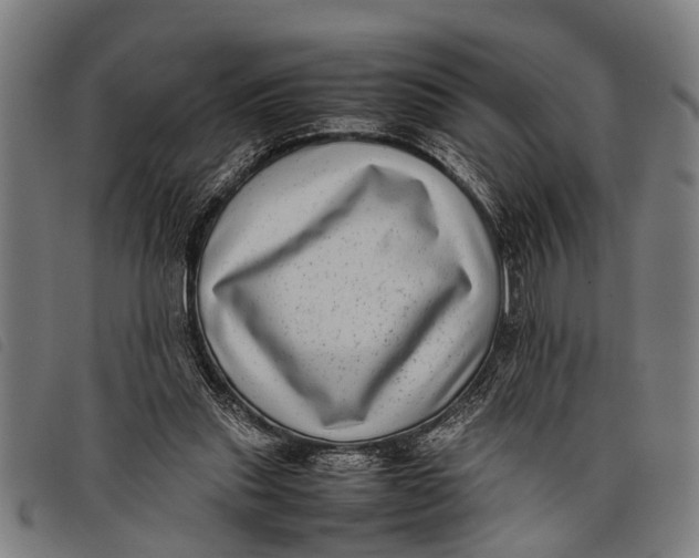 X0000097860253200804041534