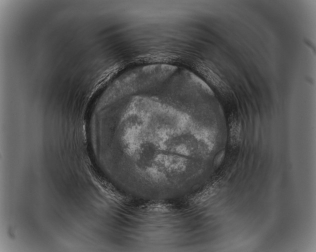 X0000097860254200804041534