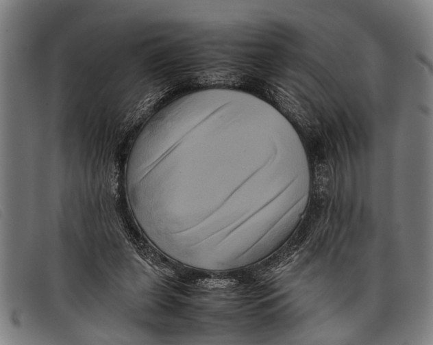 X0000097860255200804041534