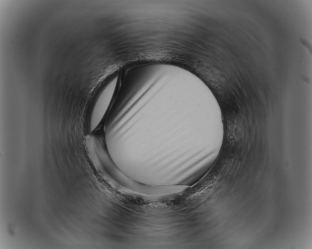 X0000097860256200804041535