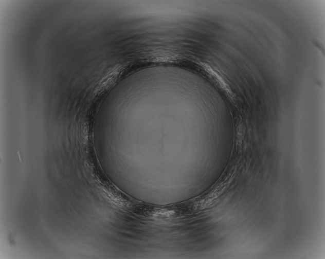 X0000097860257200804041535