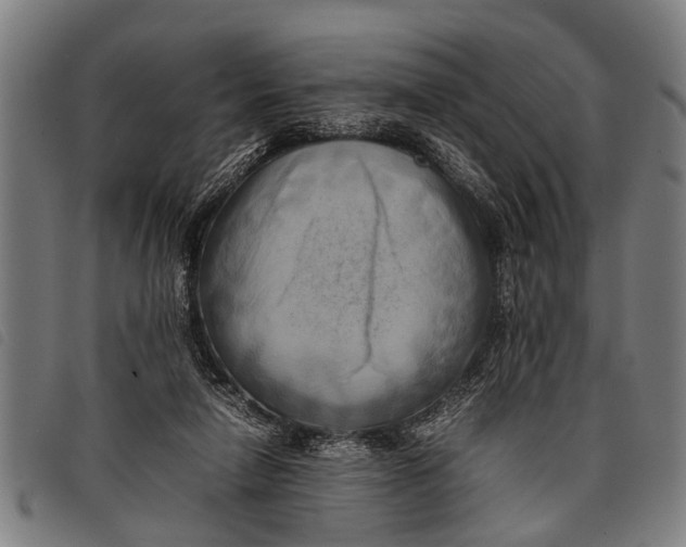 X0000097860258200804041535