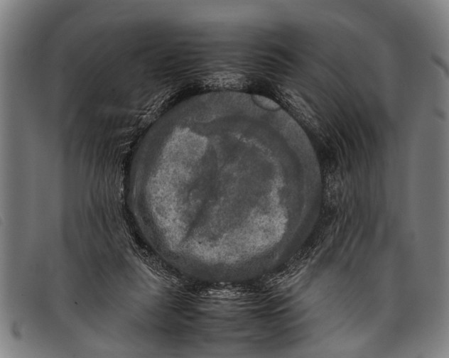 X0000097860259200804041535