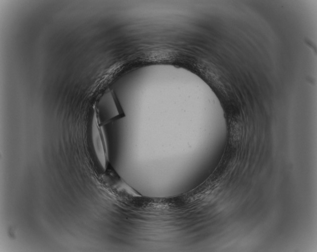 X0000097860260200804041535