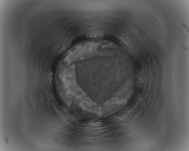 X0000097860263200804041535