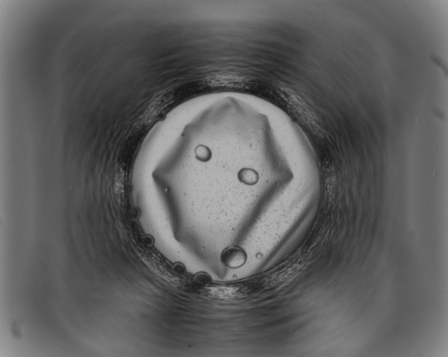 X0000097860265200804041535