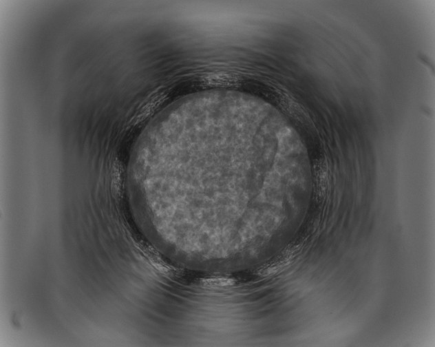 X0000097860266200804041535