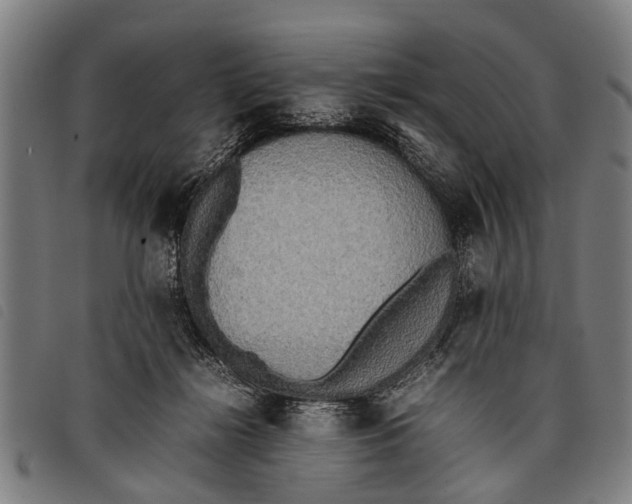 X0000097860268200804041535