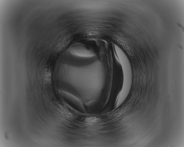 X0000097860269200804041535