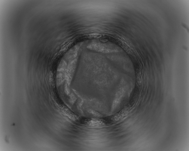 X0000097860270200804041535