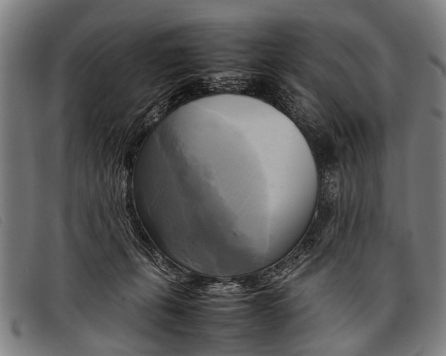 X0000097860271200804041535