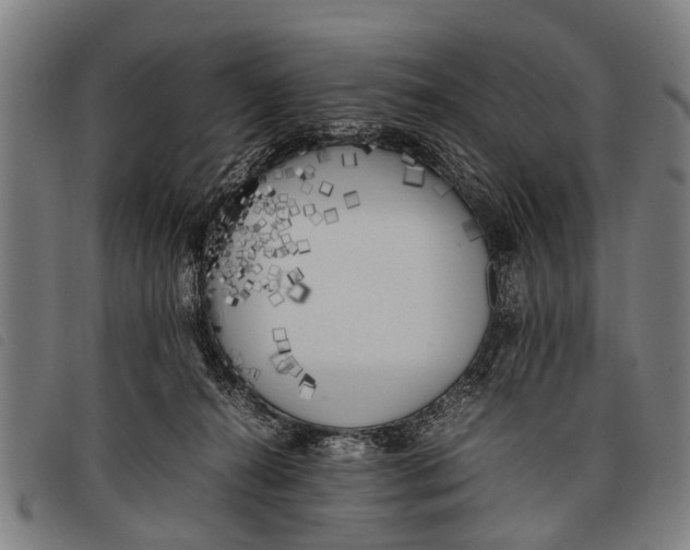 X0000097860272200804041535