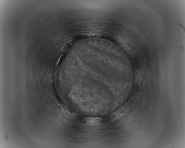 X0000097860273200804041535