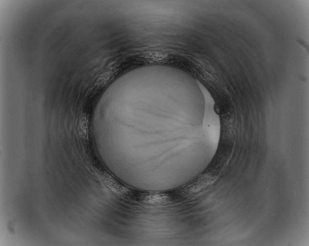 X0000097860274200804041535