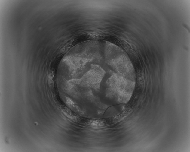 X0000097860275200804041535