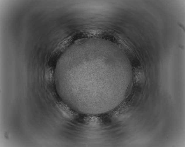 X0000097860276200804041535