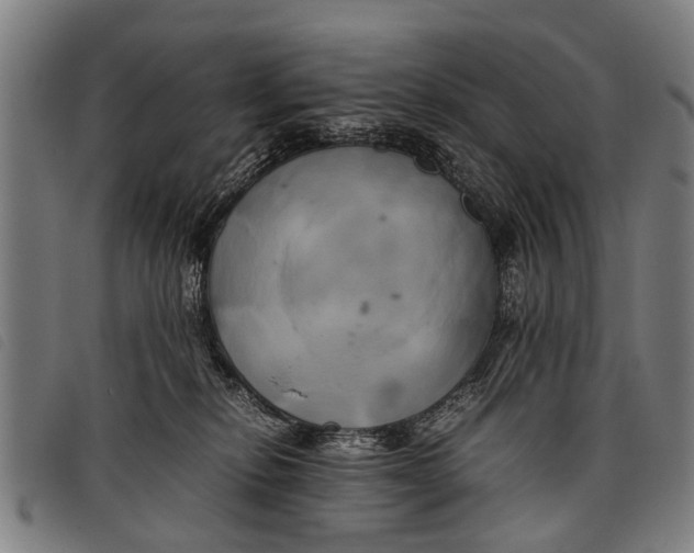 X0000097860278200804041535