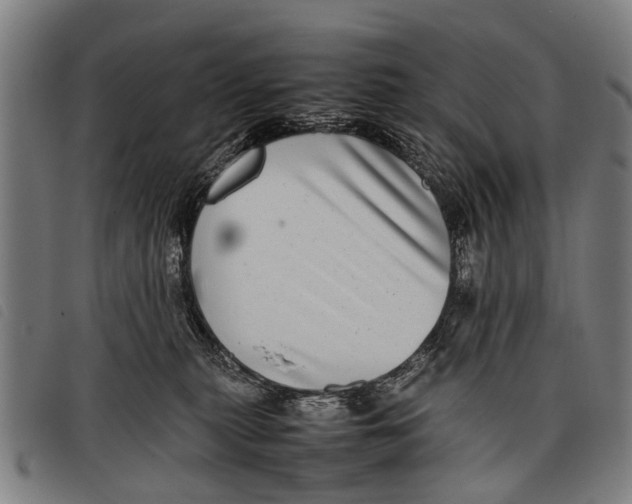 X0000097860279200804041535