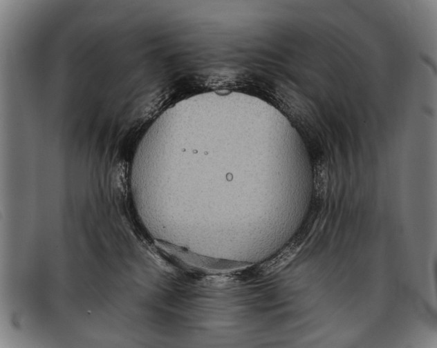 X0000097860280200804041535