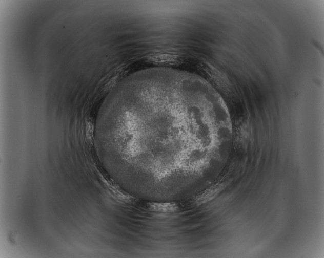 X0000097860281200804041535